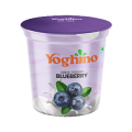 Blueberry Greek Yogurt